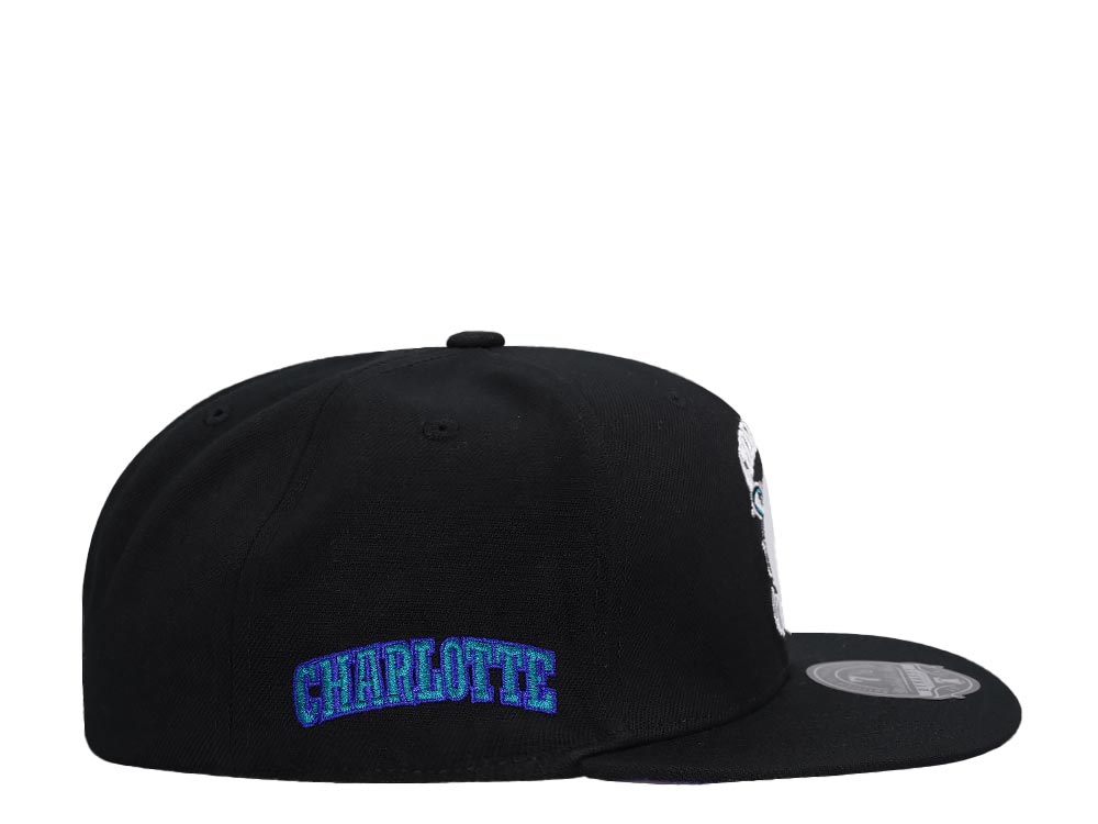 Mitchell & Ness Charlotte Hornets Logo History Hardwood Classic Dynasty Fitted Cap