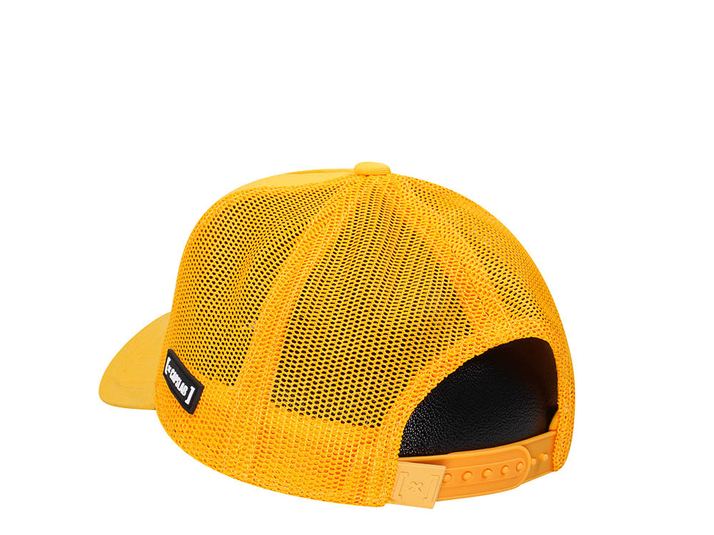 Capslab Looney Tunes Daffy Trucker Snapback Cap