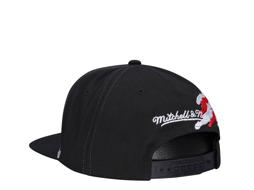 Mitchell & Ness Detroit Red Wings Vintage Paintbrush Snapback Cap