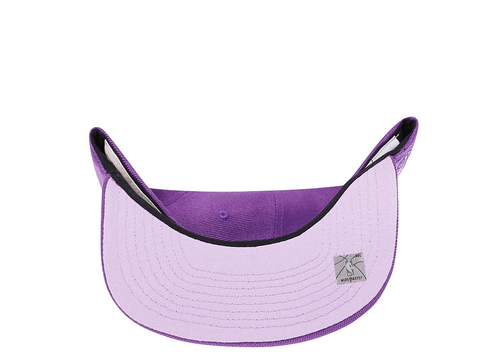 Mitchell & Ness Toronto Raptors Purple Hardwood Classic Snapback Cap