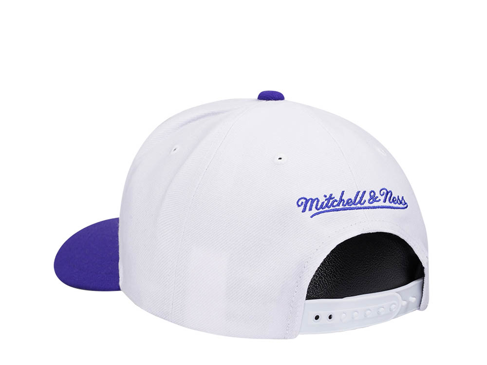 Mitchell & Ness Charlotte Hornets Team Two Tone 2.0 Pro Snapback Cap