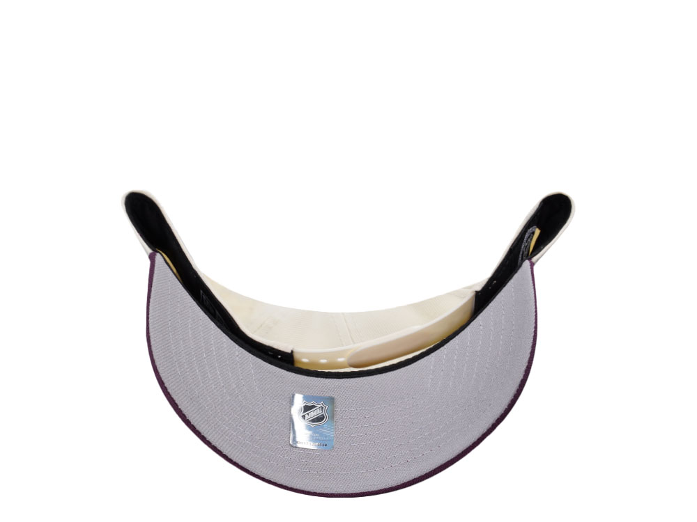 New Era Anaheim Ducks Circle Logo Chrome Two Tone Edition 9Forty A Frame Snapback Cap