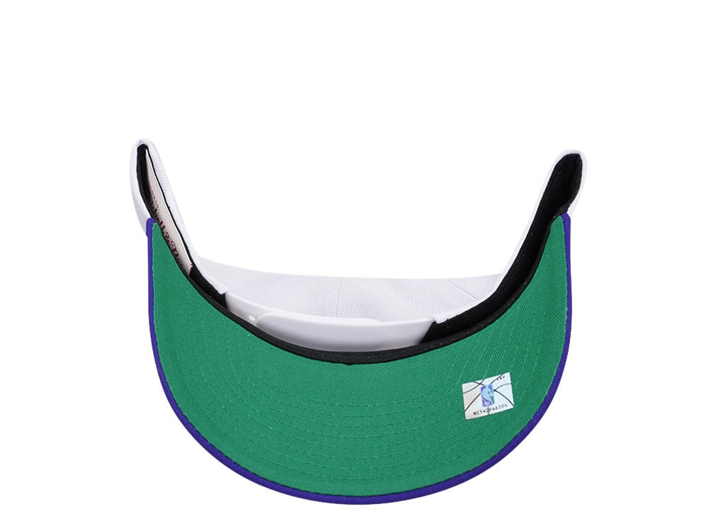 Mitchell & Ness Charlotte Hornets Team Two Tone 2.0 Pro Snapback Cap