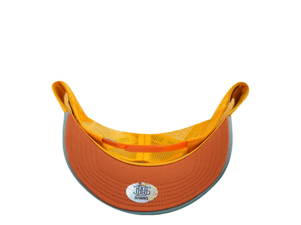 Djinns HFT Surfing Is Dead Grey Coastal Edition Trucker Snapback Cap