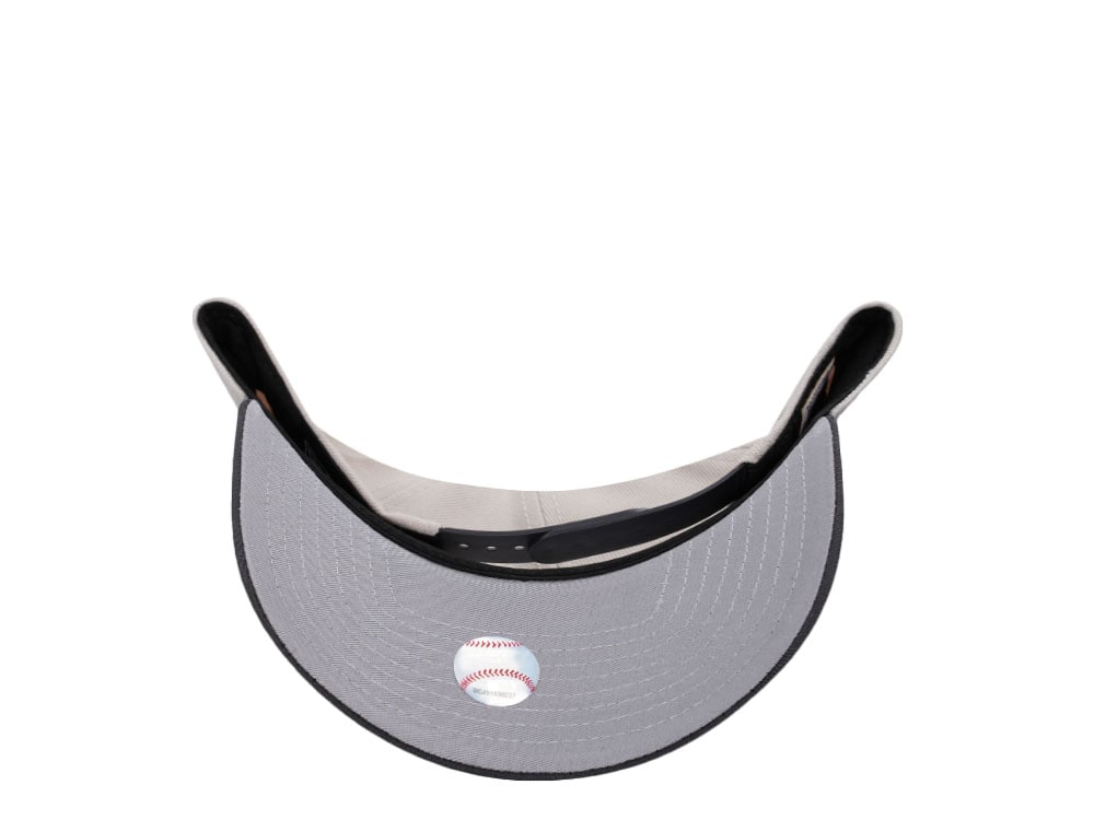 New Era Minnesota Twins Inaugural Season 2010 Metallic Two Tone Edition 9Forty A Frame Snapback Cap